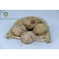 Walnuts in shell 185# ,3.2CM+from Yunnan